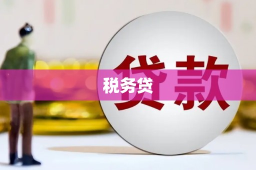 峨眉山税务贷