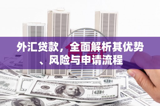 峨眉山外汇贷款，全面解析其优势、风险与申请流程