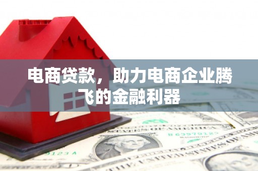 峨眉山电商贷款，助力电商企业腾飞的金融利器