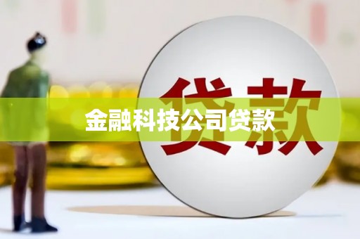 峨眉山金融科技公司贷款