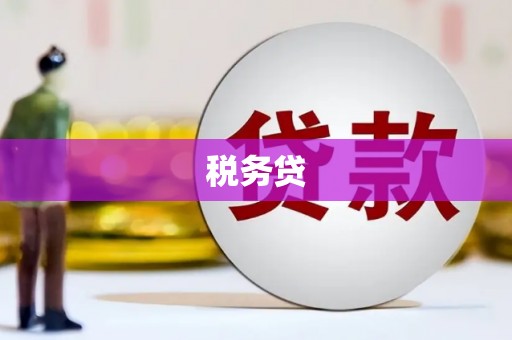 峨眉山税务贷