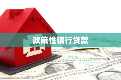 峨眉山政策性银行贷款