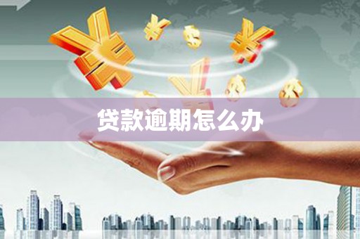 峨眉山贷款逾期怎么办