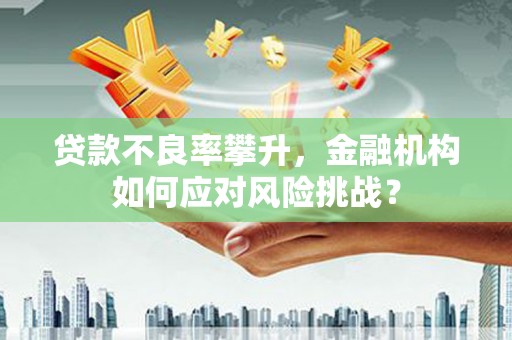 峨眉山贷款不良率攀升，金融机构如何应对风险挑战？