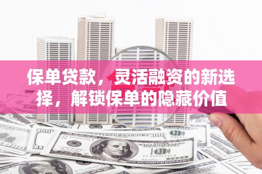 峨眉山保单贷款，灵活融资的新选择，解锁保单的隐藏价值