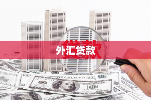 峨眉山外汇贷款