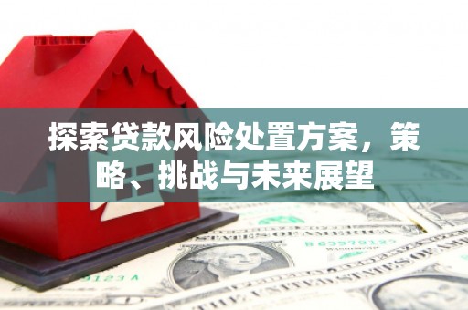 峨眉山探索贷款风险处置方案，策略、挑战与未来展望