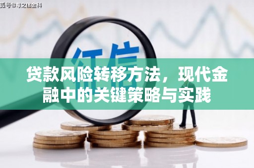 峨眉山贷款风险转移方法，现代金融中的关键策略与实践