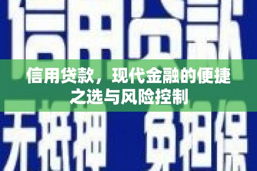 峨眉山信用贷款，现代金融的便捷之选与风险控制