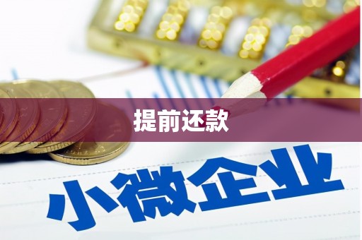 峨眉山提前还款