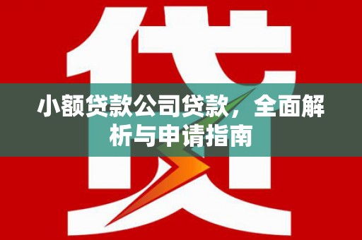 峨眉山小额贷款公司贷款，全面解析与申请指南