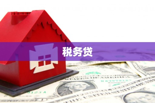 峨眉山税务贷