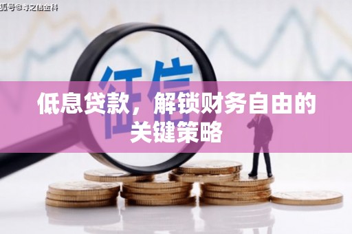 峨眉山低息贷款，解锁财务自由的关键策略