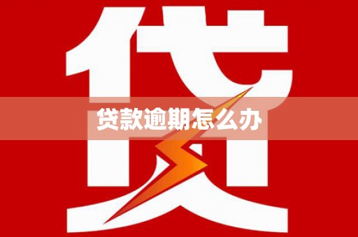 峨眉山贷款逾期怎么办