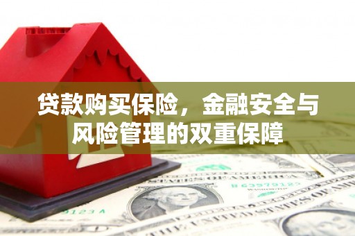 峨眉山贷款购买保险，金融安全与风险管理的双重保障