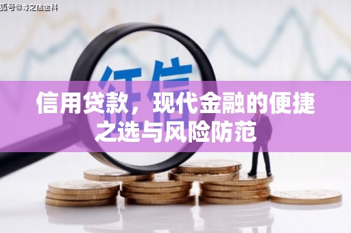 峨眉山信用贷款，现代金融的便捷之选与风险防范