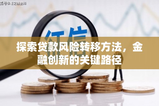 峨眉山探索贷款风险转移方法，金融创新的关键路径