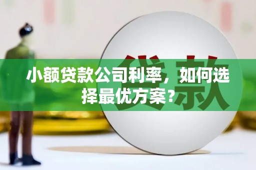 峨眉山小额贷款公司利率，如何选择最优方案？