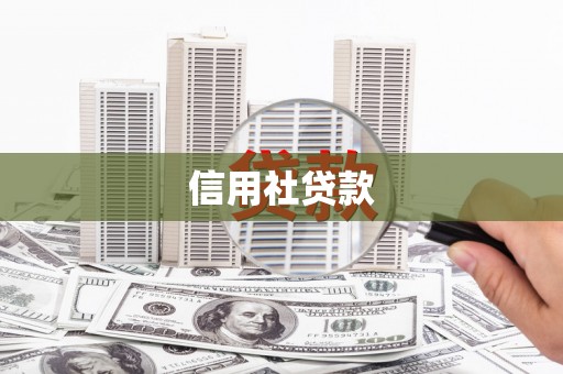 峨眉山信用社贷款
