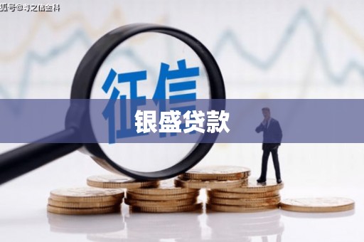 峨眉山银盛贷款