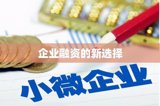 峨眉山企业融资的新选择