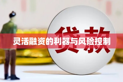 峨眉山灵活融资的利器与风险控制