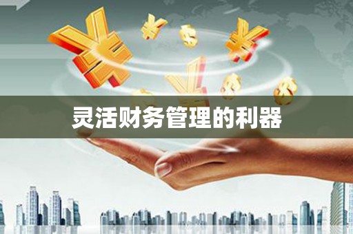 峨眉山灵活财务管理的利器