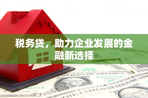 峨眉山税务贷，助力企业发展的金融新选择