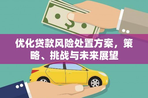 峨眉山优化贷款风险处置方案，策略、挑战与未来展望