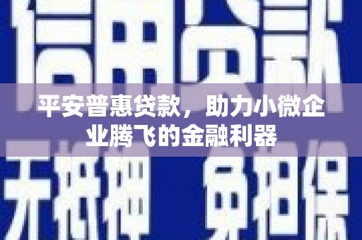 峨眉山平安普惠贷款，助力小微企业腾飞的金融利器