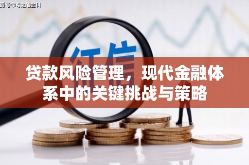 峨眉山贷款风险管理，现代金融体系中的关键挑战与策略