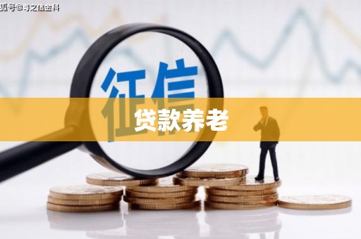 峨眉山贷款养老
