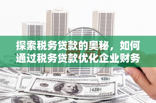 峨眉山探索税务贷款的奥秘，如何通过税务贷款优化企业财务
