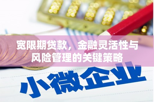 峨眉山宽限期贷款，金融灵活性与风险管理的关键策略