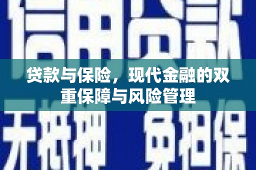 峨眉山贷款与保险，现代金融的双重保障与风险管理