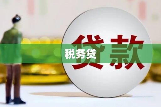 峨眉山税务贷