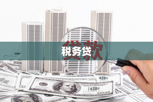 峨眉山税务贷
