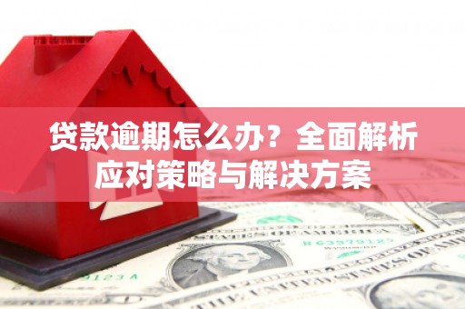 峨眉山贷款逾期怎么办？全面解析应对策略与解决方案