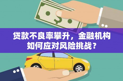 峨眉山贷款不良率攀升，金融机构如何应对风险挑战？