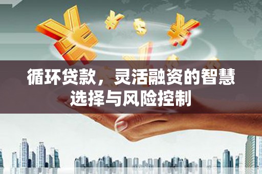 峨眉山循环贷款，灵活融资的智慧选择与风险控制