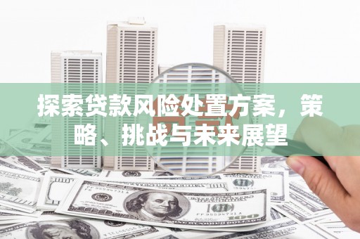 峨眉山探索贷款风险处置方案，策略、挑战与未来展望