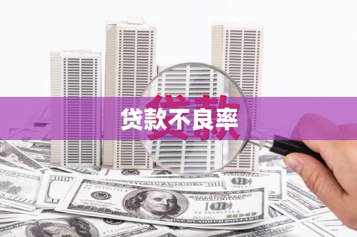 峨眉山贷款不良率