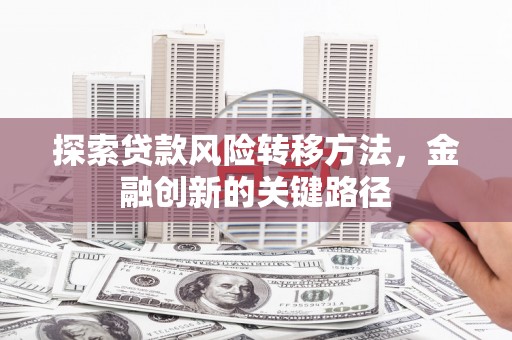 峨眉山探索贷款风险转移方法，金融创新的关键路径