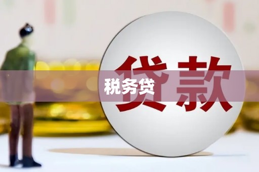 峨眉山税务贷