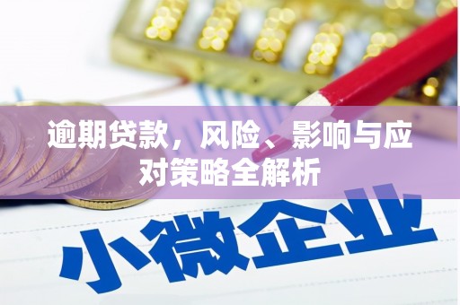 峨眉山逾期贷款，风险、影响与应对策略全解析