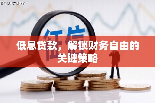 峨眉山低息贷款，解锁财务自由的关键策略