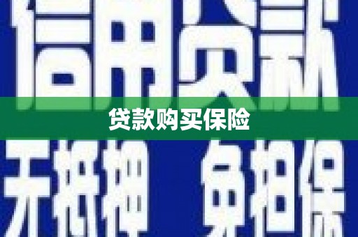 峨眉山贷款购买保险