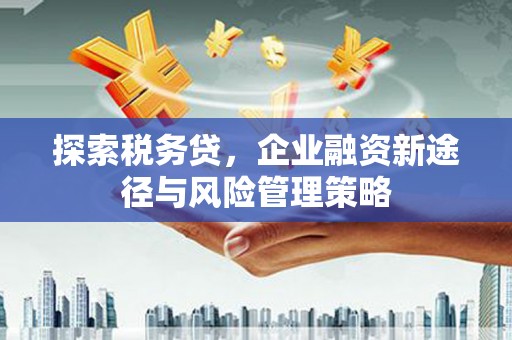 峨眉山探索税务贷，企业融资新途径与风险管理策略