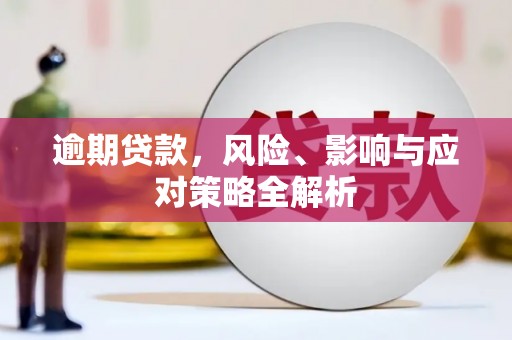 峨眉山逾期贷款，风险、影响与应对策略全解析