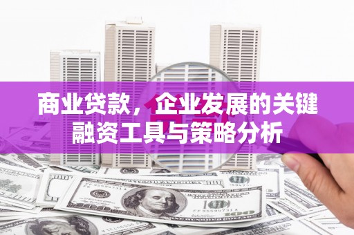 峨眉山商业贷款，企业发展的关键融资工具与策略分析